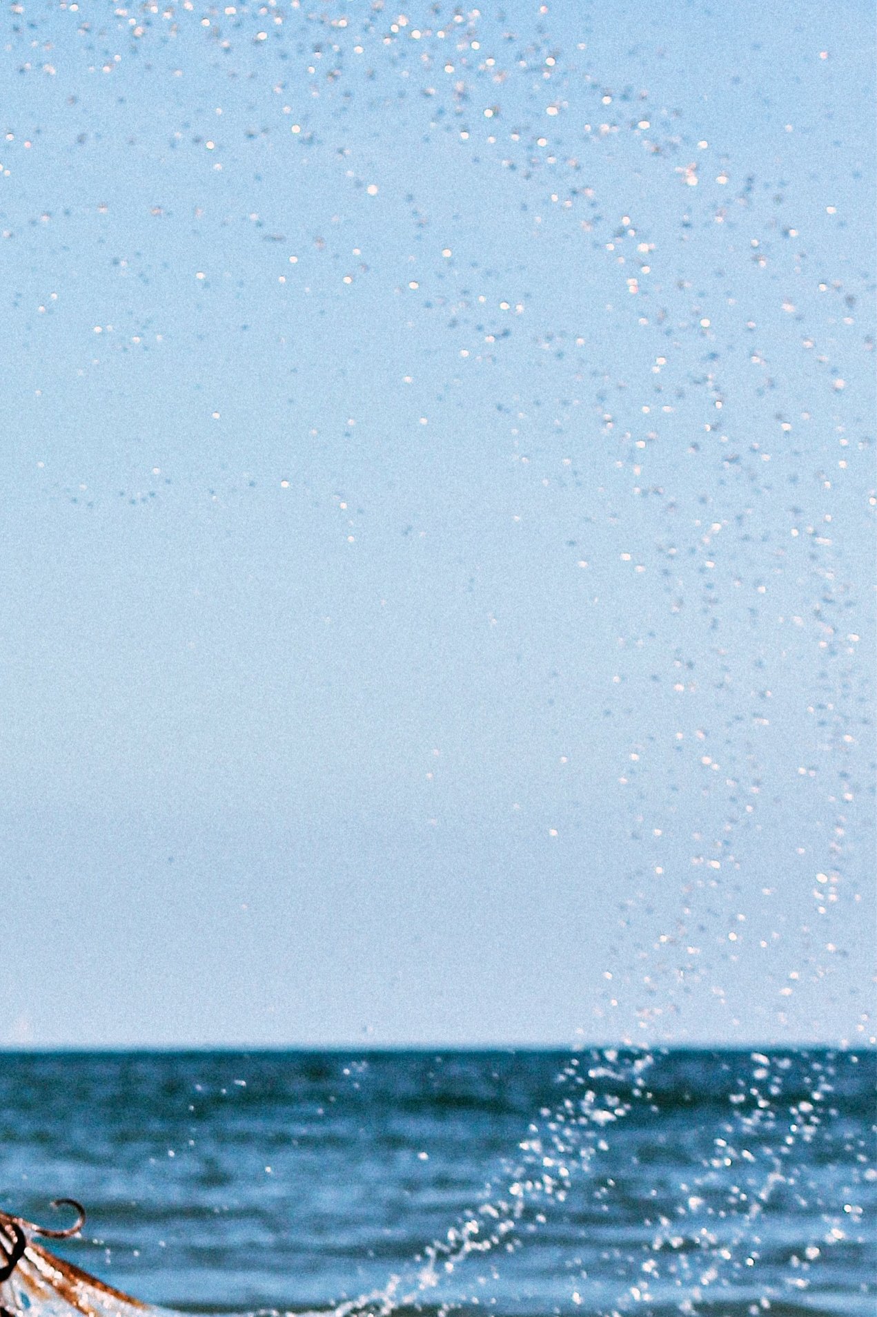 Jaarprognose  Ben je benieuwd naar jouw persoonlijke jaarverloop?